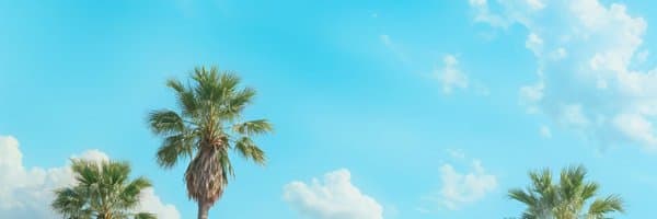 Kieran Klaassen banner