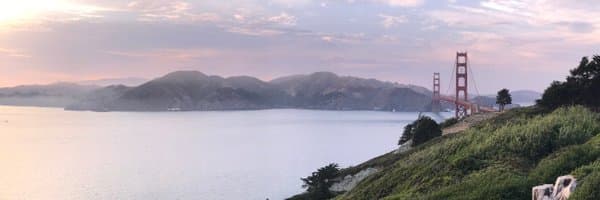 Rex Salisbury banner