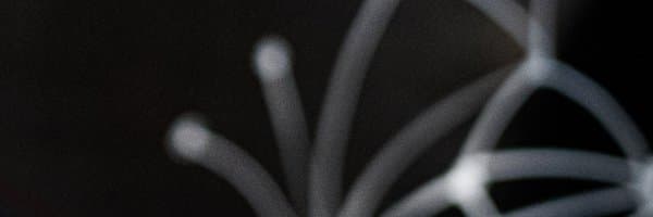 Raphael Schaad banner