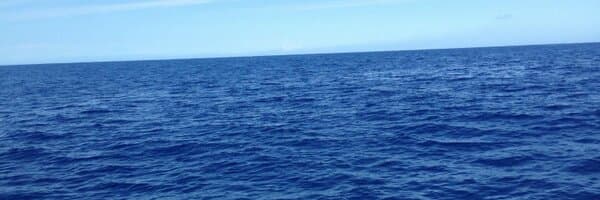 Greg Brockman banner