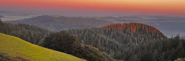 Lauren Frailey banner