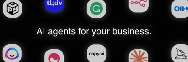 David Roberts banner