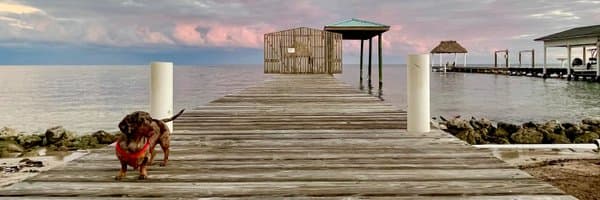 Jon C. Phillips banner