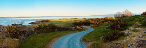 Andrew Wilkinson banner