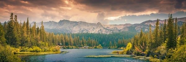 Tom Blomfield banner