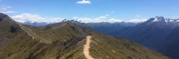 Hamish McKenzie banner