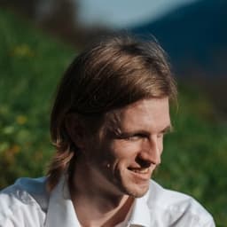 Armin Ronacher ⇌ avatar