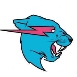 MrBeast avatar